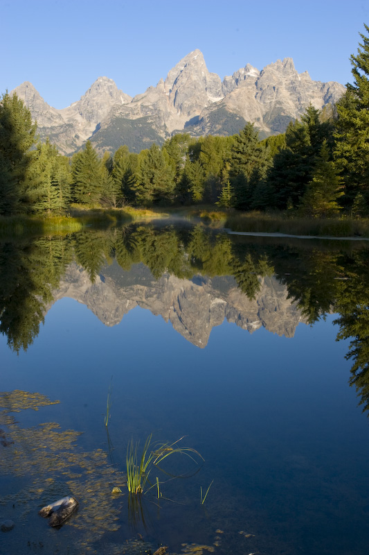 Teton Range Reflected In Beaver Pond